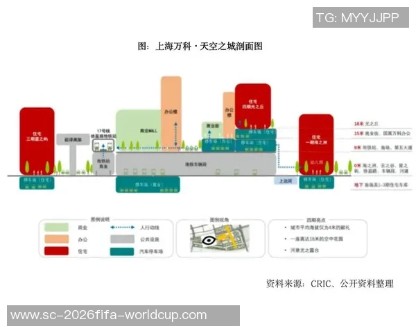 重庆网球队个人能力深度对比与发展潜力分析 重庆网球队个人能力深度对比与发展潜力分析